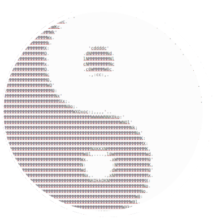 image of YinYang